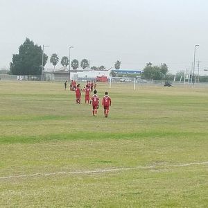 Meet your Posher, Mario